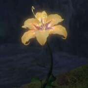 ヒメ日記 2026/02/19 13:30 投稿 るい 小田原人妻城