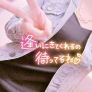 ヒメ日記 2026/04/06 14:28 投稿 るい 小田原人妻城