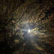 ヒメ日記 2026/04/11 13:08 投稿 るい 小田原人妻城