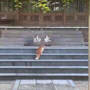ヒメ日記 2026/09/13 18:31 投稿 るい 小田原人妻城