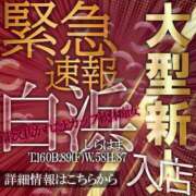 ヒメ日記 2024/07/26 03:00 投稿 麗菜 倶楽部月兎【逆夜這い】大阪