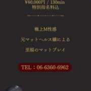 ヒメ日記 2024/12/11 17:17 投稿 麗菜 倶楽部月兎【逆夜這い】大阪