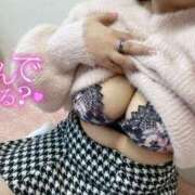 ヒメ日記 2024/12/18 01:12 投稿 はる ホワイトベル