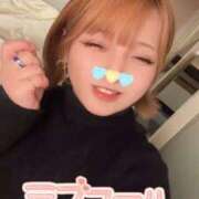 ヒメ日記 2024/12/21 23:52 投稿 はる ホワイトベル