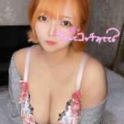 ヒメ日記 2025/01/15 21:15 投稿 はる ホワイトベル