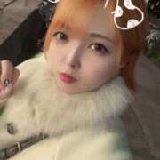 ヒメ日記 2025/01/16 20:14 投稿 はる ホワイトベル