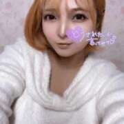 ヒメ日記 2025/02/15 21:22 投稿 はる ホワイトベル