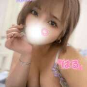 ヒメ日記 2025/09/03 21:12 投稿 はる ホワイトベル