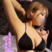 ヒメ日記 2025/09/03 23:12 投稿 はる ホワイトベル