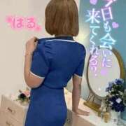 ヒメ日記 2025/09/04 23:12 投稿 はる ホワイトベル