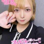 ヒメ日記 2025/09/29 17:12 投稿 はる ホワイトベル