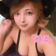 ヒメ日記 2025/10/11 21:44 投稿 はる ホワイトベル