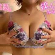 ヒメ日記 2025/10/29 05:12 投稿 はる ホワイトベル