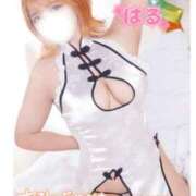 ヒメ日記 2025/10/29 23:12 投稿 はる ホワイトベル