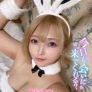 ヒメ日記 2025/10/30 01:02 投稿 はる ホワイトベル