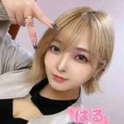 ヒメ日記 2025/11/07 21:32 投稿 はる ホワイトベル