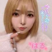 ヒメ日記 2025/11/10 21:12 投稿 はる ホワイトベル