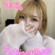 ヒメ日記 2025/11/12 00:02 投稿 はる ホワイトベル