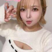 ヒメ日記 2025/11/13 07:42 投稿 はる ホワイトベル