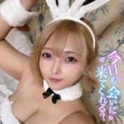 ヒメ日記 2025/11/13 22:36 投稿 はる ホワイトベル