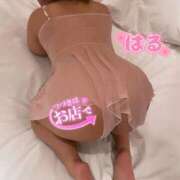 ヒメ日記 2025/12/03 02:12 投稿 はる ホワイトベル