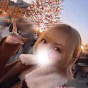 ヒメ日記 2025/12/10 07:42 投稿 はる ホワイトベル