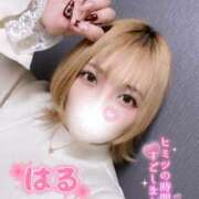 ヒメ日記 2025/12/21 02:22 投稿 はる ホワイトベル