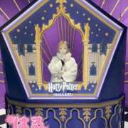 ヒメ日記 2026/01/12 07:42 投稿 はる ホワイトベル