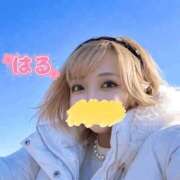 ヒメ日記 2026/01/14 07:42 投稿 はる ホワイトベル