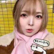 ヒメ日記 2026/01/29 20:12 投稿 はる ホワイトベル