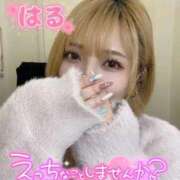 ヒメ日記 2026/02/01 02:02 投稿 はる ホワイトベル
