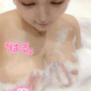 ヒメ日記 2026/02/18 05:12 投稿 はる ホワイトベル