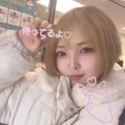 ヒメ日記 2026/02/20 20:22 投稿 はる ホワイトベル