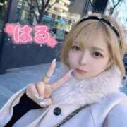 ヒメ日記 2026/02/24 07:32 投稿 はる ホワイトベル