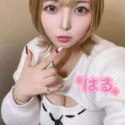 ヒメ日記 2026/02/24 21:12 投稿 はる ホワイトベル
