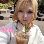 ヒメ日記 2026/03/26 07:32 投稿 はる ホワイトベル