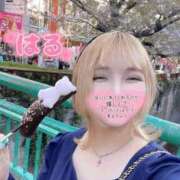 ヒメ日記 2026/04/15 04:12 投稿 はる ホワイトベル