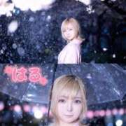 ヒメ日記 2026/04/17 07:32 投稿 はる ホワイトベル