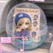 ヒメ日記 2026/04/17 19:32 投稿 はる ホワイトベル