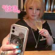 ヒメ日記 2026/04/19 07:42 投稿 はる ホワイトベル