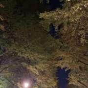 ヒメ日記 2026/02/28 20:27 投稿 みちる One More 奥様　錦糸町店