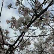 ヒメ日記 2026/04/03 23:03 投稿 みちる One More 奥様　錦糸町店