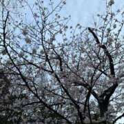 ヒメ日記 2026/04/24 15:03 投稿 みちる One More 奥様　錦糸町店