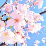 ヒメ日記 2025/04/05 09:33 投稿 くみ TSUBAKI（水戸）