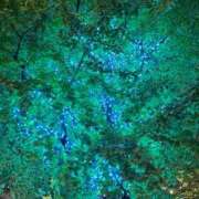 ヒメ日記 2024/12/28 23:15 投稿 かれん 横浜 風俗 妻がオンナに変わるとき