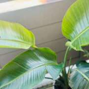 ヒメ日記 2025/02/27 11:07 投稿 かれん 横浜 風俗 妻がオンナに変わるとき