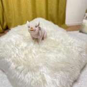 ヒメ日記 2025/03/02 14:23 投稿 かれん 横浜 風俗 妻がオンナに変わるとき