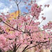 ヒメ日記 2026/03/01 08:52 投稿 かれん 横浜 風俗 妻がオンナに変わるとき