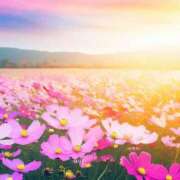 ヒメ日記 2025/09/17 15:17 投稿 竹中さとね 大阪ぽっちゃり妻 谷九店