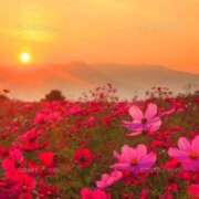 竹中さとね こんにちは☺️ 大阪ぽっちゃり妻 谷九店